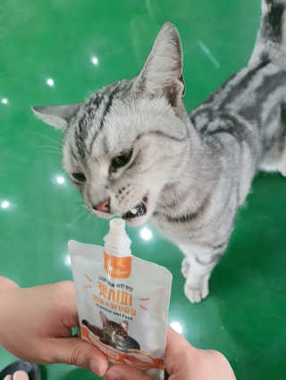 쭈니찌니님이 올린 리뷰 사진 3