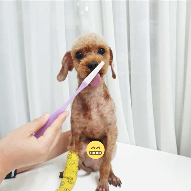 K-BRUSH 리뷰 사진