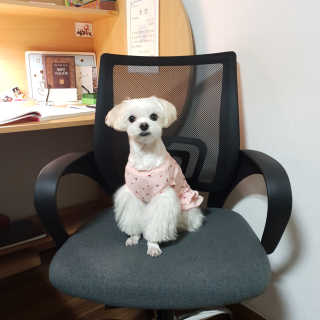 youngran님이 올린 리뷰 사진 1