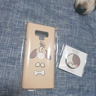 beaglelove님이 올린 리뷰 사진 1