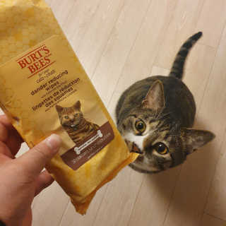 ghkwlsssss님이 올린 리뷰 사진 4