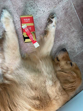 아보카도올리브님이 올린 리뷰 사진 2