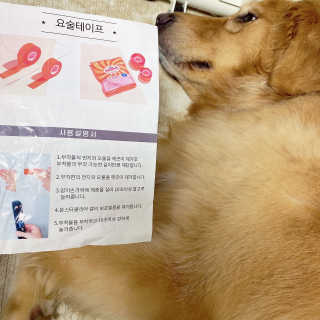 아보카도올리브님이 올린 리뷰 사진 3