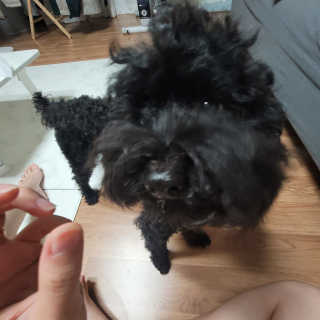 ❤꼬네우니🧡님이 올린 리뷰 사진 4