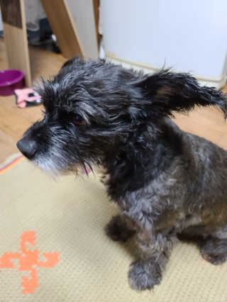 푸름님이 올린 리뷰 사진 4