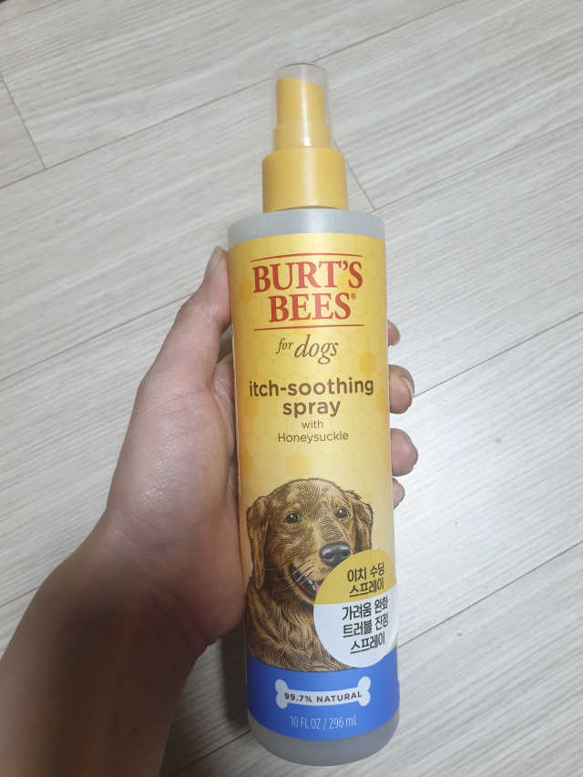 버츠비 이치수딩 스프레이 리뷰 사진