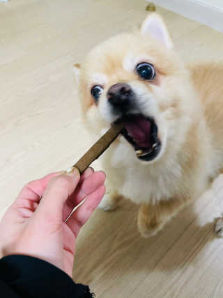 My Pet Care 천연단백질 치아건강에 개좋아 — 5점을 준 리뷰어가 2020년 12월 올린 사용 사진