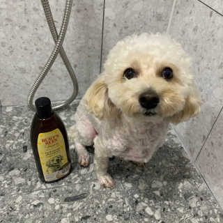유니라떼미노님이 올린 리뷰 사진 1