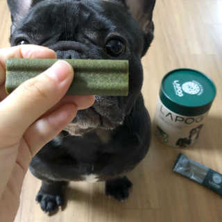 [푸디웜] 라포그 코어덴탈츄 그린 (10개입) — 5점을 준 리뷰어가 2020년 9월 올린 사용 사진