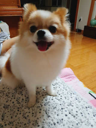 SongHoeun님이 올린 리뷰 사진 3