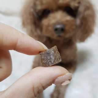 My Pet Care 천연단백질 관절건강에 개좋아 — 5점을 준 리뷰어가 2020년 12월 올린 사용 사진
