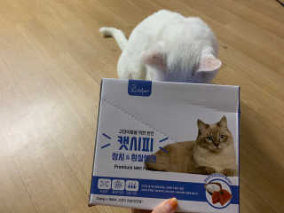 IS2UL님이 올린 리뷰 사진 3