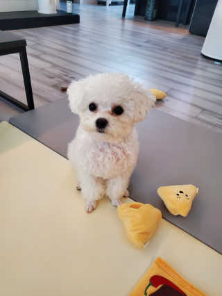 해워니님이 올린 리뷰 사진 1