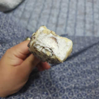 삼성우승님이 올린 리뷰 사진 4