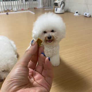 서라님이 올린 리뷰 사진 3
