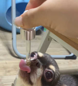 세로롱님이 올린 리뷰 사진 2
