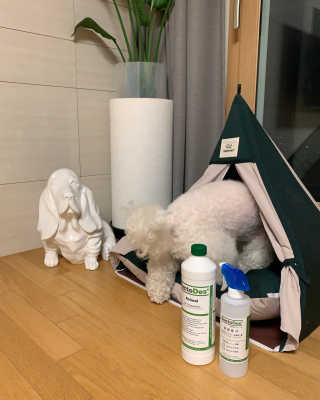 윤긍정님이 올린 리뷰 사진 2