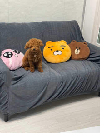칸쵸님이 올린 리뷰 사진 2