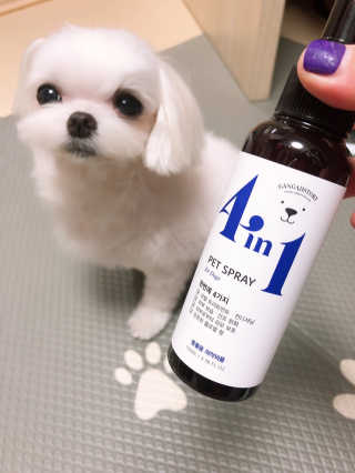 뚜덩맘님이 올린 리뷰 사진 3