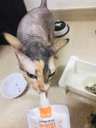 narihalmany님이 올린 리뷰 사진 1
