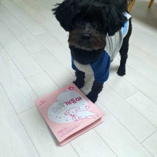 My Pet Care 천연단백질 관절건강에 개좋아 — 5점을 준 리뷰어가 2020년 11월 올린 사용 사진