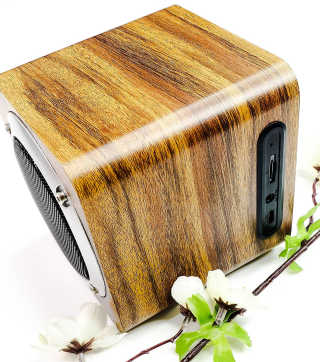 SEVIZ MINI10W 레트로 블루투스 스피커 — 5점을 준 리뷰어가 2020년 8월 올린 사용 사진