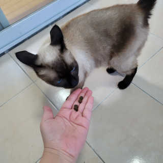 쭌뭉님이 올린 리뷰 사진 2