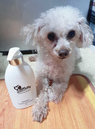예민한 피부를 위한 코코몰리 All in one 자연유래 샴푸 — 5점을 준 리뷰어가 2020년 9월 올린 사용 사진