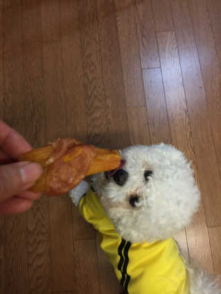 해피팡팡 고구마닭말이+고구마오리말이 [고구마간식2종] — 5점을 준 리뷰어가 2020년 4월 올린 사용 사진