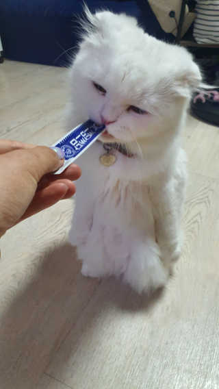 까칠한시연님님이 올린 리뷰 사진 1