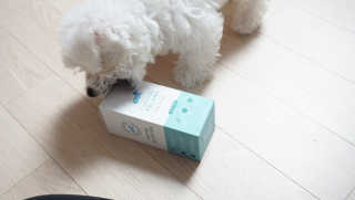 코지독 카밍스프레이 100ml — 5점을 준 리뷰어가 2020년 6월 올린 사용 사진