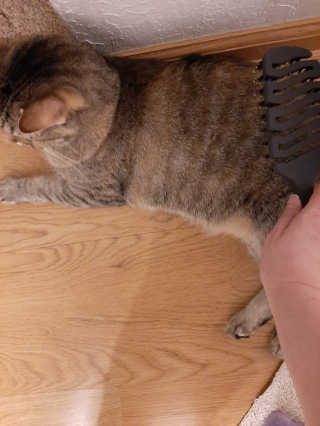 Safiyah님이 올린 리뷰 사진 2