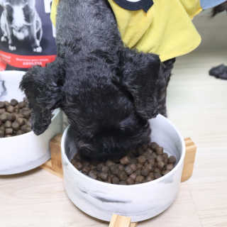 우와한언니님이 올린 리뷰 사진 4