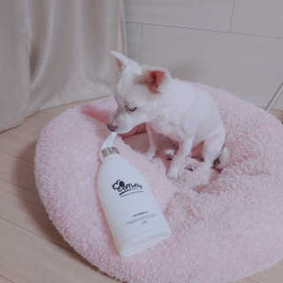 예민한 피부를 위한 코코몰리 All in one 자연유래 샴푸 — 4점을 준 리뷰어가 2020년 11월 올린 사용 사진