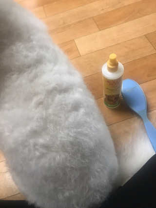 갱스님이 올린 리뷰 사진 4