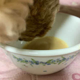 코끼리님이 올린 리뷰 사진 3