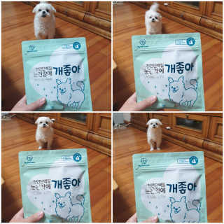 My Pet Care 천연단백질 눈건강에 개좋아 — 5점을 준 리뷰어가 2020년 11월 올린 사용 사진