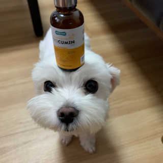 bominnnn님이 올린 리뷰 사진 2
