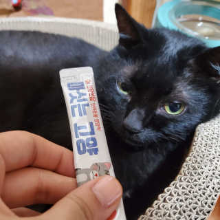 지니님이 올린 리뷰 사진 3