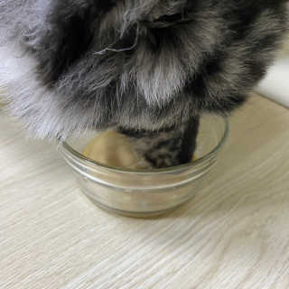 덕구리누나님이 올린 리뷰 사진 3
