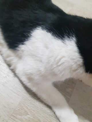 홍시님이 올린 리뷰 사진 3