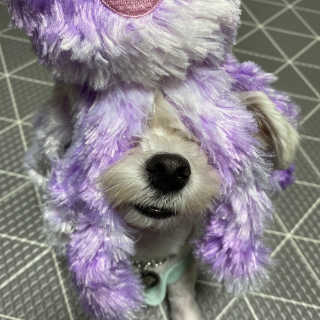 당근님이 올린 리뷰 사진 2