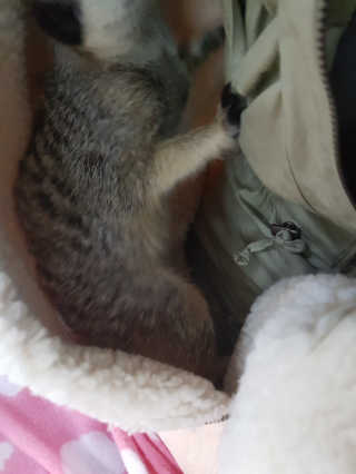 옹알이님이 올린 리뷰 사진 3