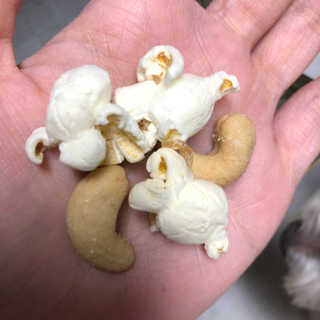 Sooing님이 올린 리뷰 사진 4