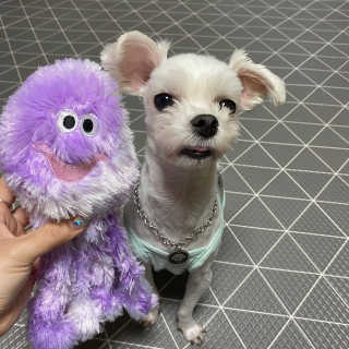 당근님이 올린 리뷰 사진 3