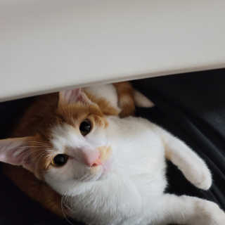 쓔리님이 올린 리뷰 사진 3