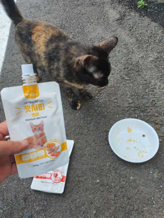 [캣시피] 고양이들의 반찬, 대용량 츄르 3종 — 5점을 준 리뷰어가 2020년 8월 올린 사용 사진