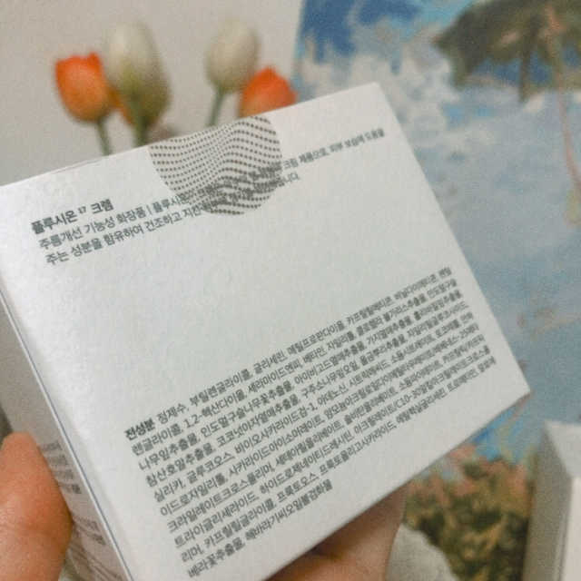 플루시온 17 크렘 리뷰 사진