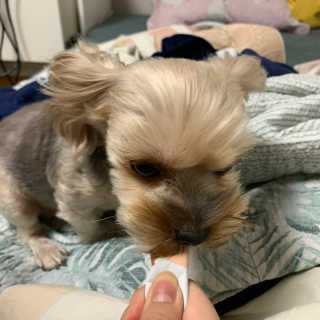 간장님이 올린 리뷰 사진 4