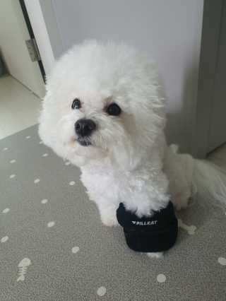 hyun♡님이 올린 리뷰 사진 1